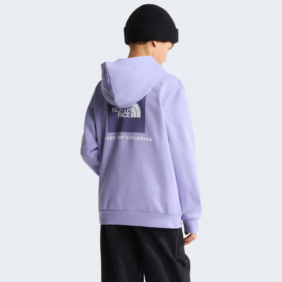 The North Face Evolution Box NSE sweater met backprint - lila, foto 5