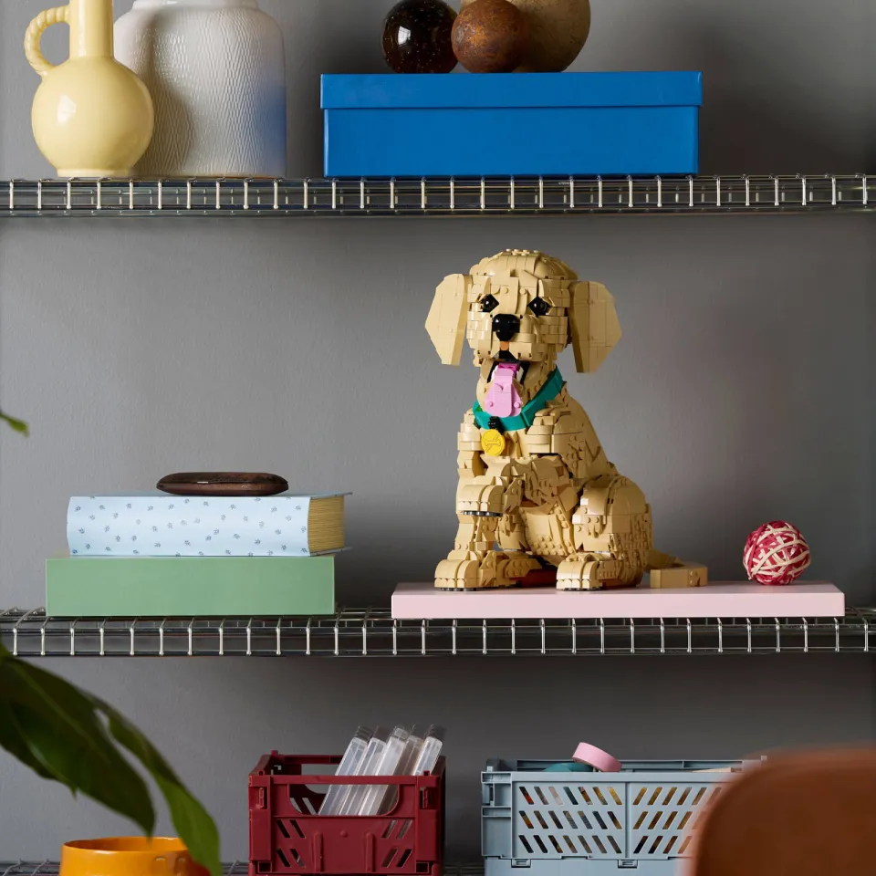 Lego Icons Golden Retriever Puppy Bouwpakket met Dieren Figuur 11384, foto 5