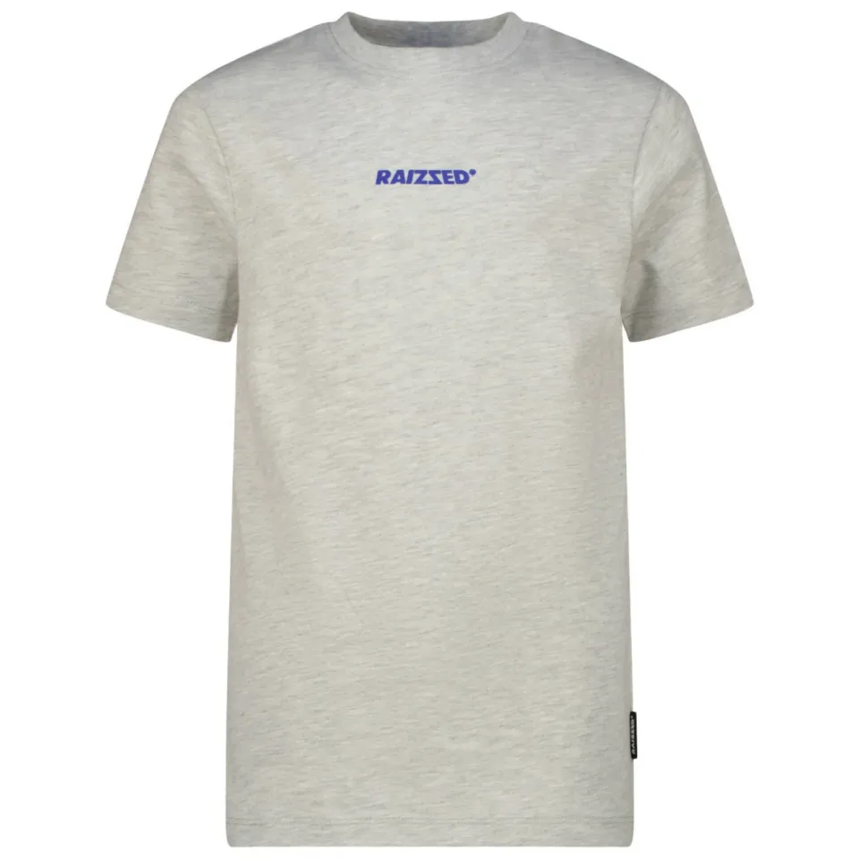 Raizzed T-shirt lichtgrijs melange, foto 2