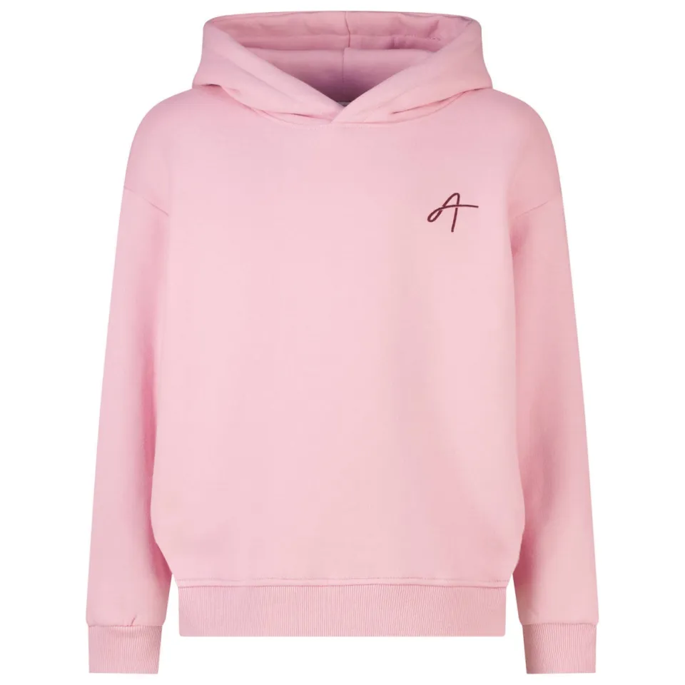 America Today hoodie met backprint - lichtroze, foto 2