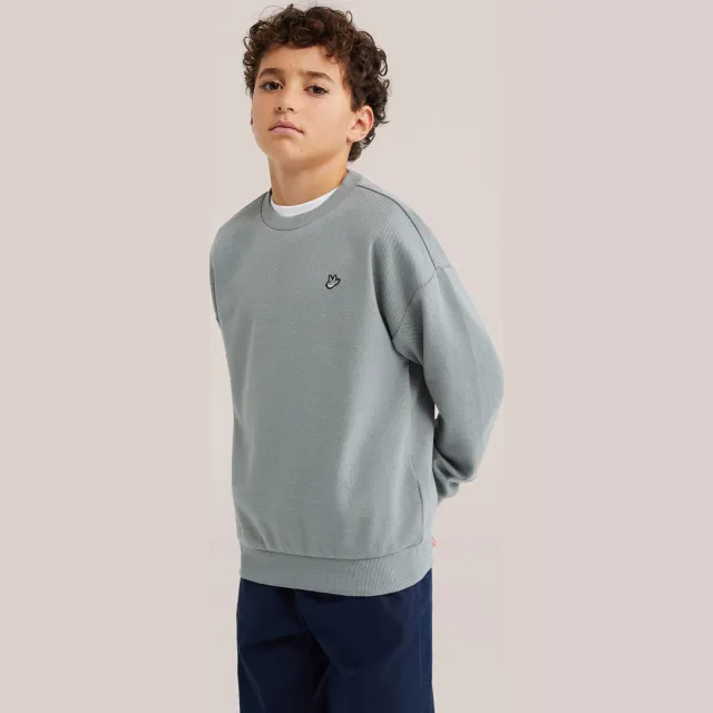 WE Fashion sweater - grijs