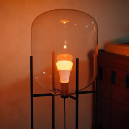 Philips Hue Slimme Ledlamp White Ambiance - A60 - 1100lm - E27 - 8.1w Wit