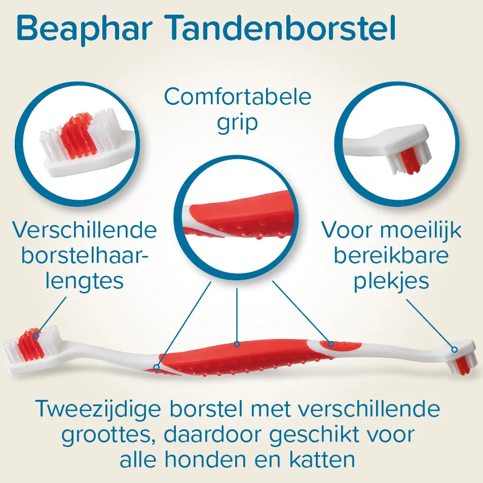 Beaphar tandpasta met tandenborstel hond en kat, foto 3