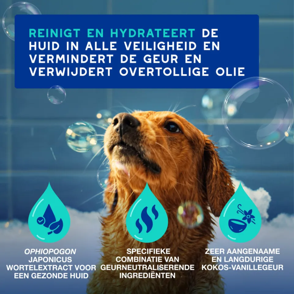 Douxo Spa anti-geur hondenshampoo, foto 3