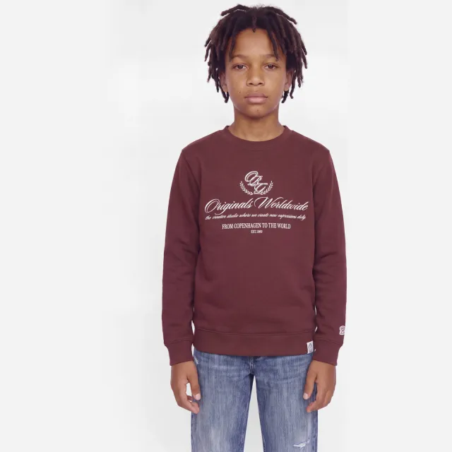 Jack & Jones JUNIOR sweater met tekst - roodbruin