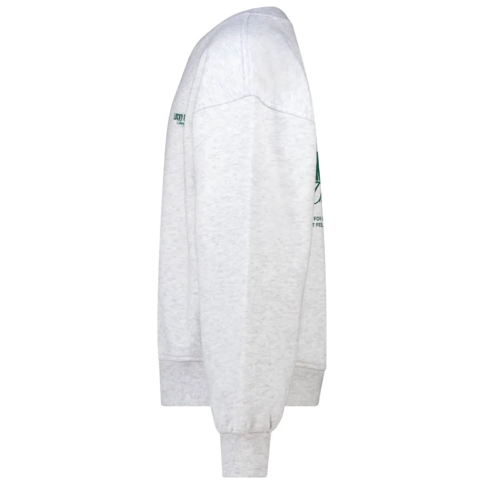 America Today sweater met backprint - light grey, foto 3