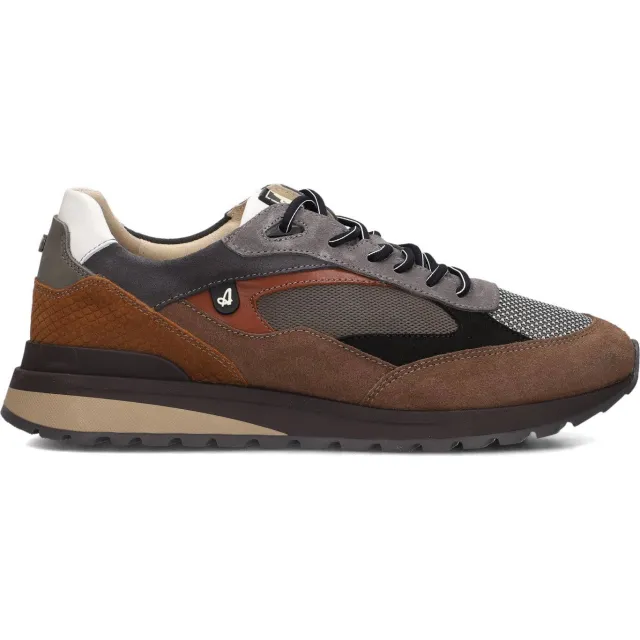 Australian Sneakers Sparrow Bruin