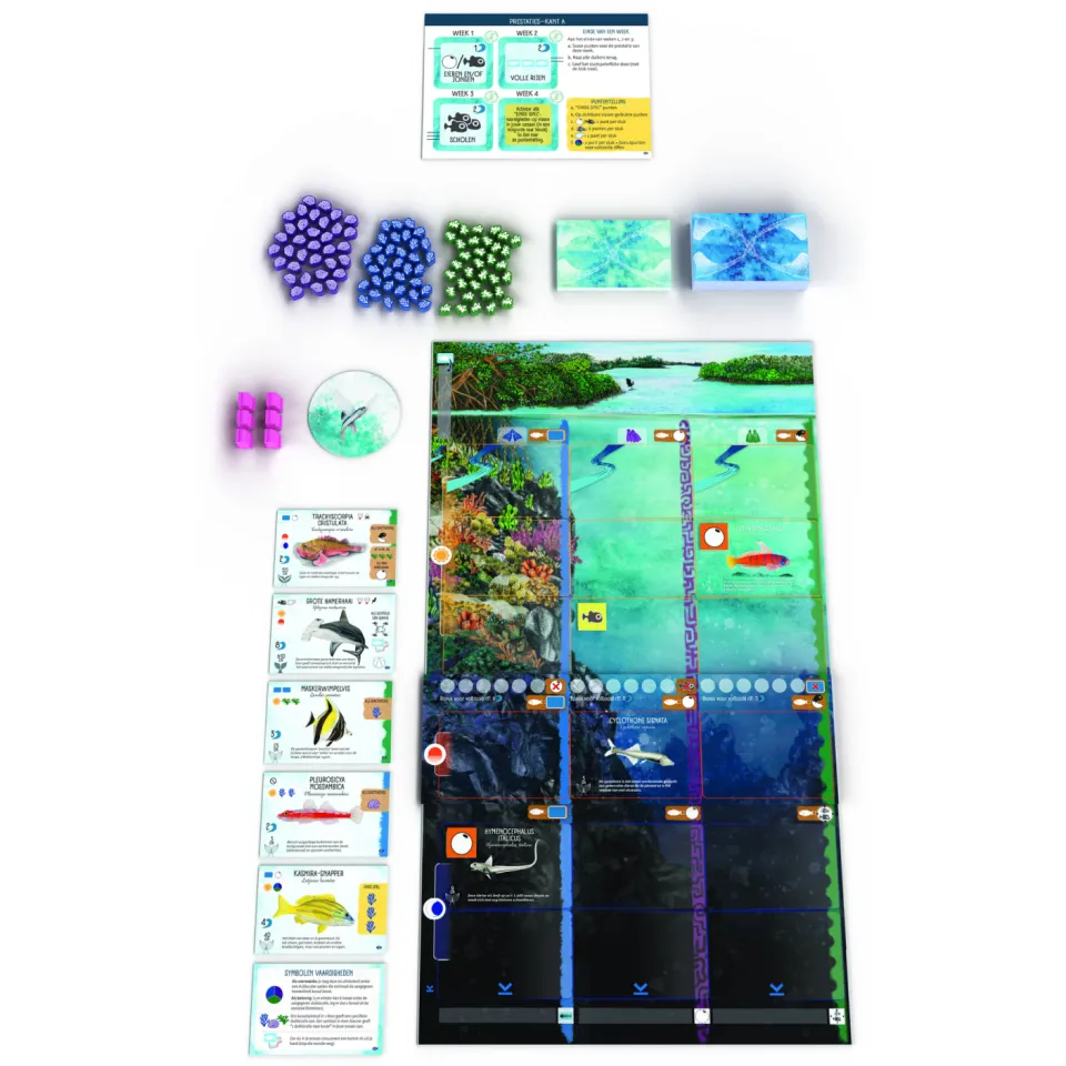 999 Games Finspan uitbreiding: Haaien en Riffen
