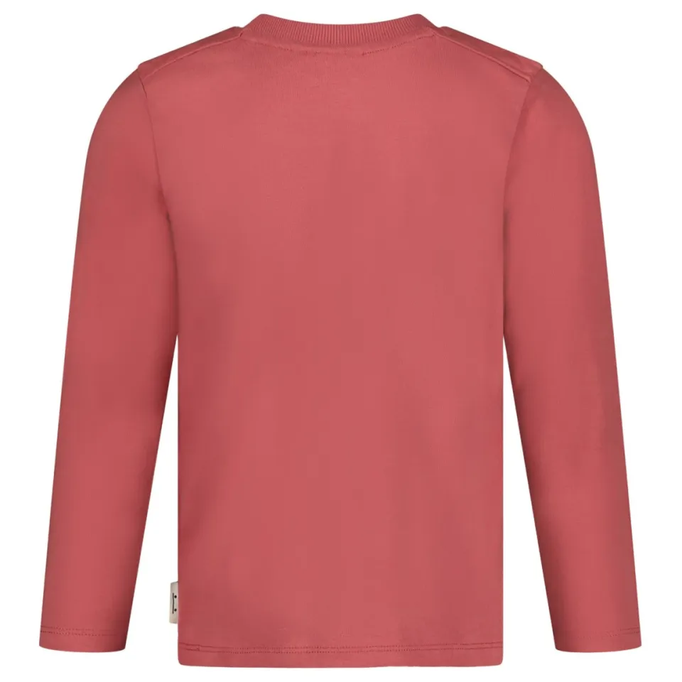 Sturdy longsleeve Mountain top oudroze, foto 3