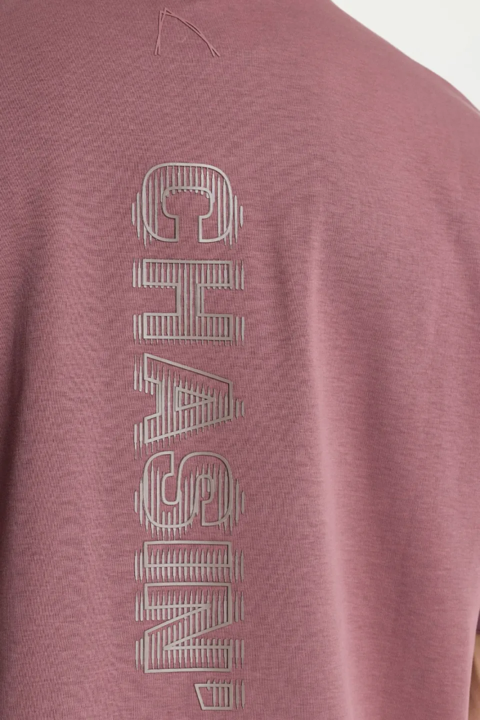 CHASIN' oversized T-shirt met backprint - rose taupe, foto 4