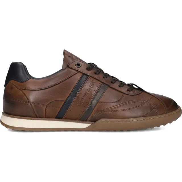 Cycleur de Luxe New Crush Born sneaker bruin
