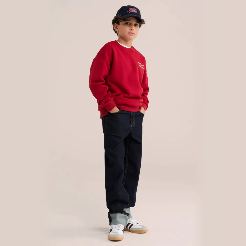 WE Fashion Blue Ridge loose fit jeans - donkerblauw Dark blue denim