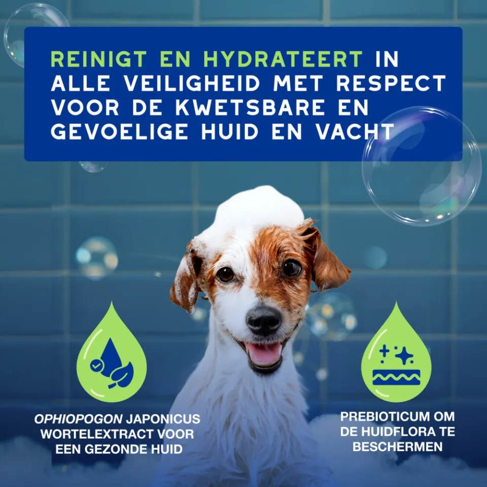 Douxo Spa hondenshampoo puppy, foto 3