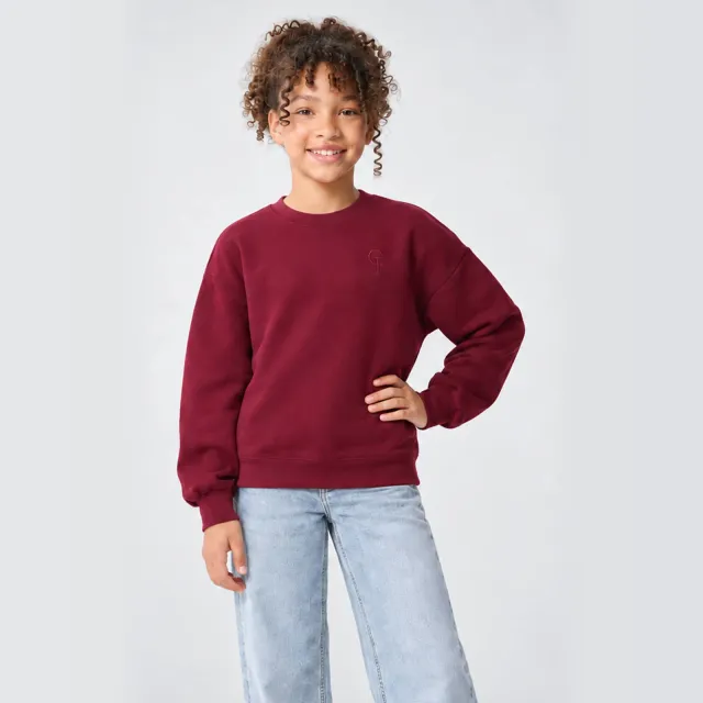 Cars sweater met logo - donkerrood