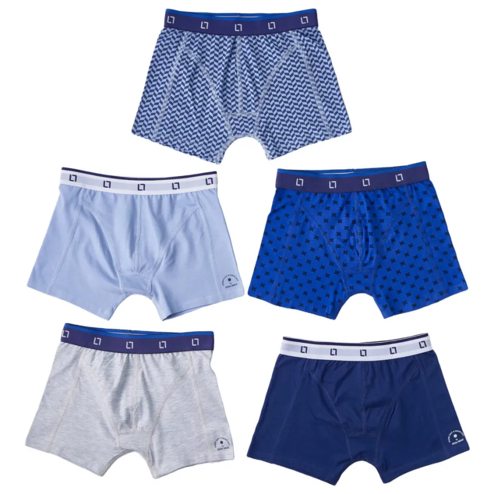 Little Label boxershort blauw set van 5, foto 2