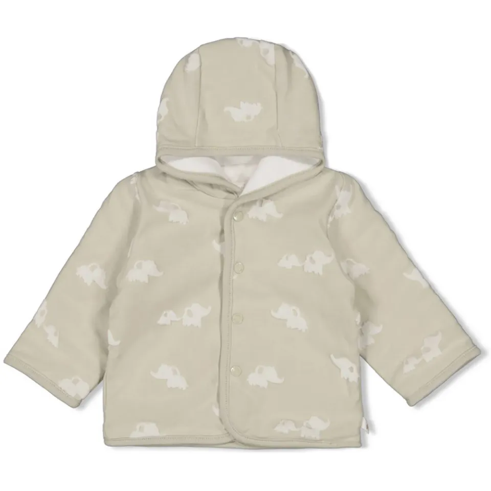 Feetje reversible zomerjas Elephant mintgroen, foto 4