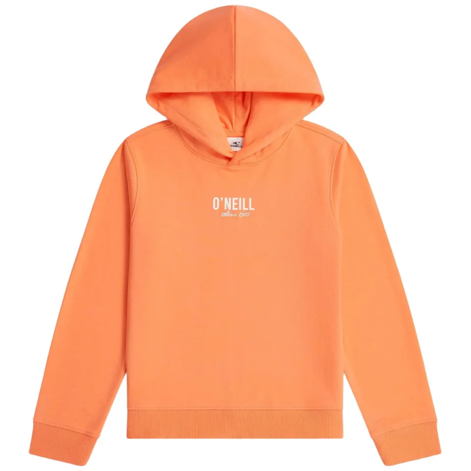 O'Neill hoodie - oranje, foto 3