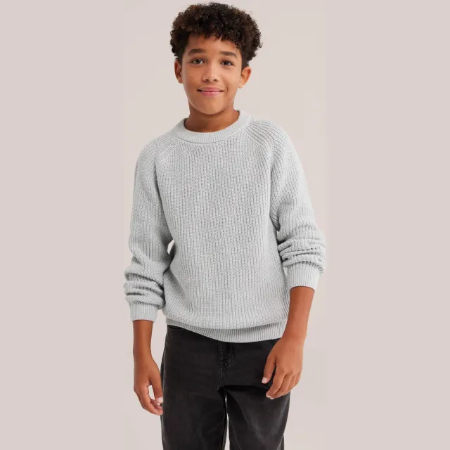WE Fashion katoenen gebreide trui - lichtgrijs