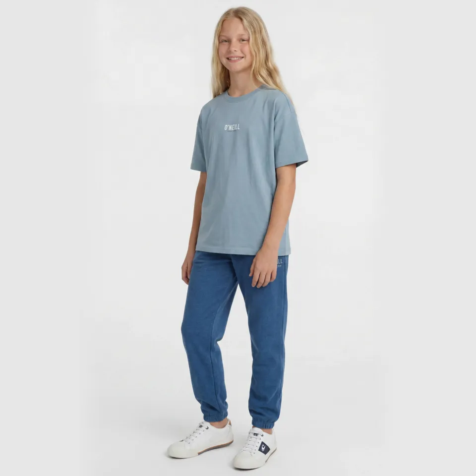 O'Neill T-shirt blauw