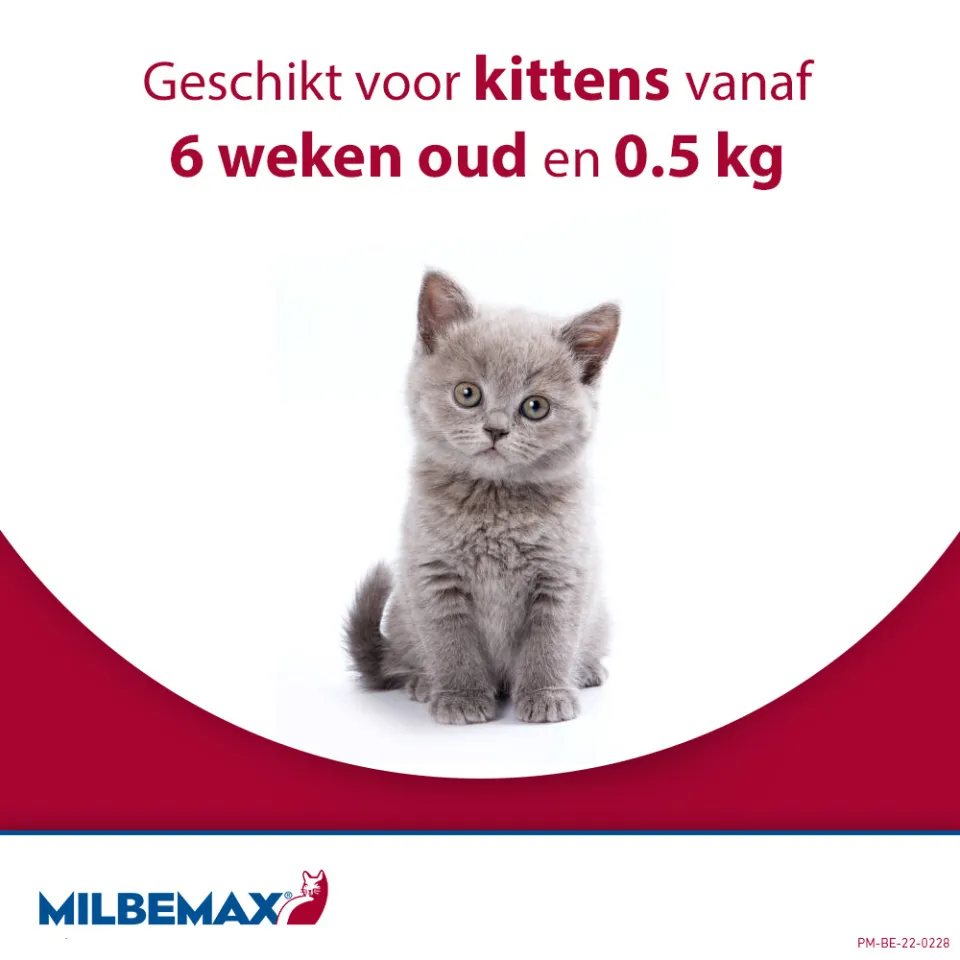 Milbemax Ontworming Tabletten Kat 2 - 12 kg 2 x 2 tabletten, foto 4