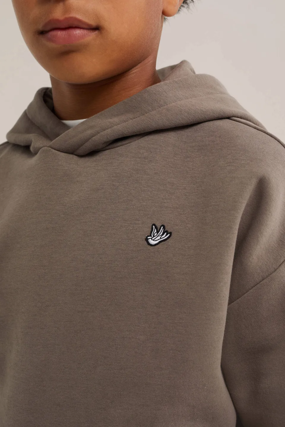 WE Fashion sweat hoodie - taupe, foto 5