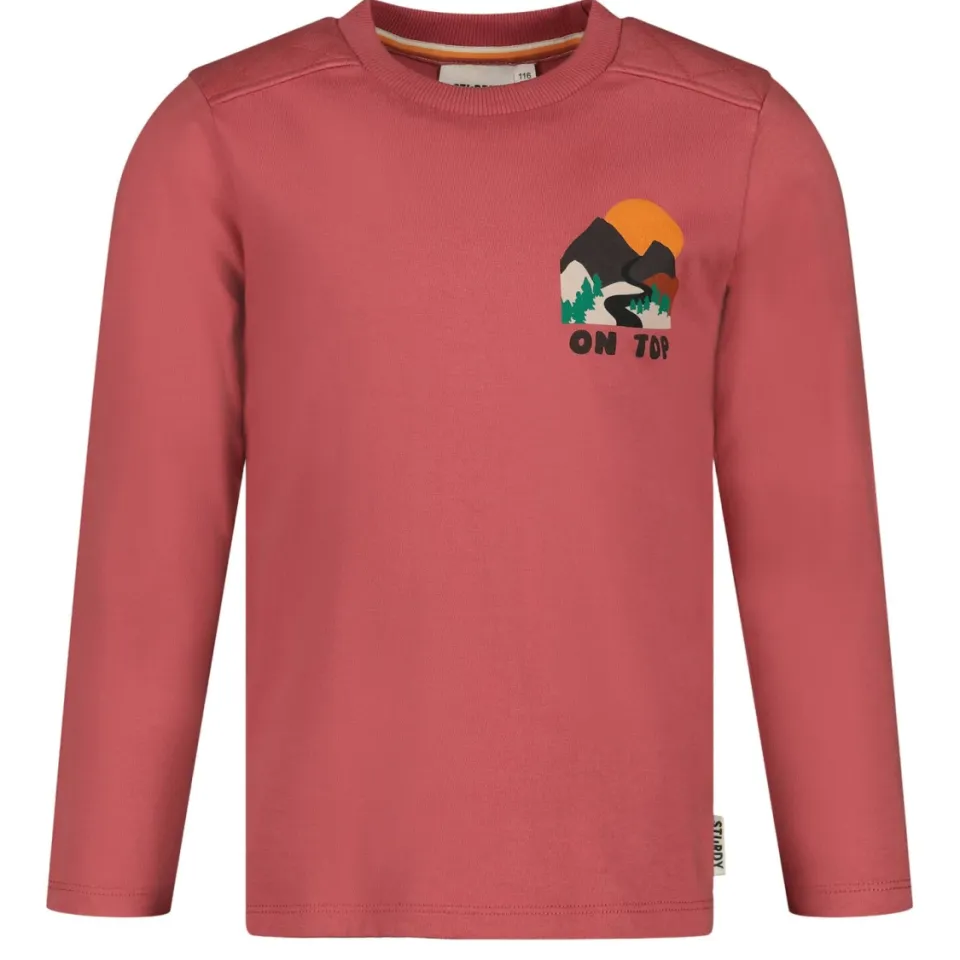 Sturdy longsleeve Mountain top oudroze, foto 2