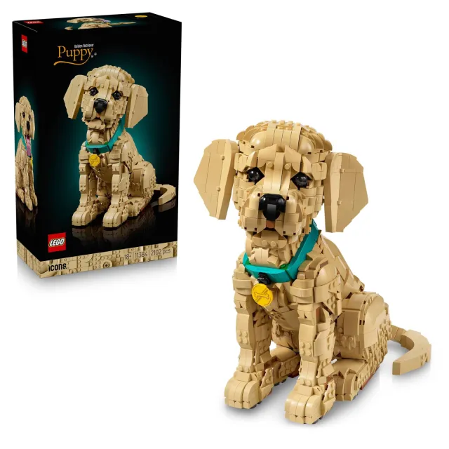Lego Icons Golden Retriever Puppy Bouwpakket met Dieren Figuur 11384