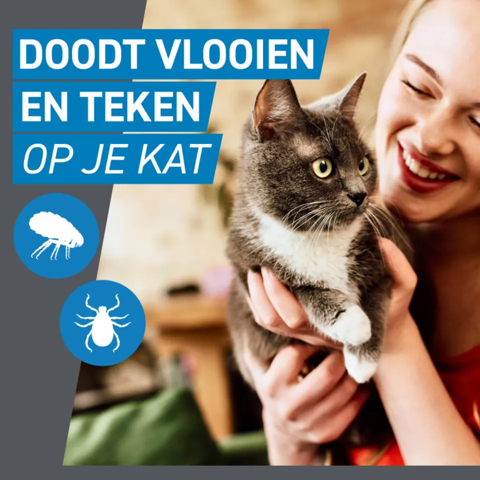 Frontline Spot On anti-vlooienmiddel kat 3 pipetten, foto 2