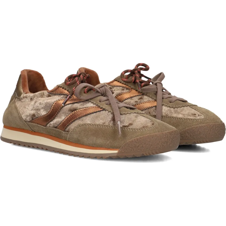 Mrp Sneakers Utah Bruin, foto 3