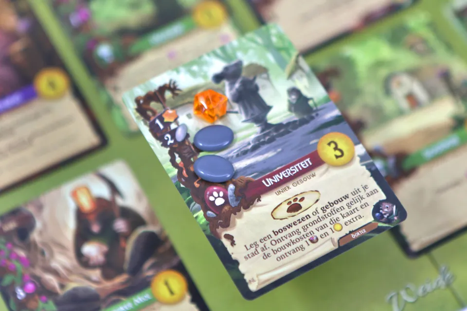 White Goblin Games Everdell, foto 4
