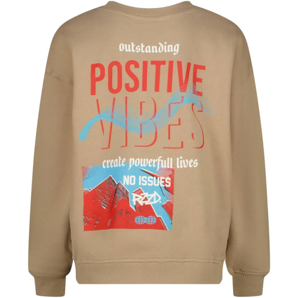 Raizzed sweater met backprint - bruin, foto 4