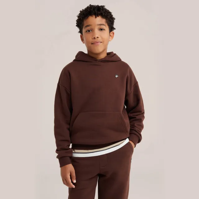 WE Fashion sweat hoodie - donkerbruin