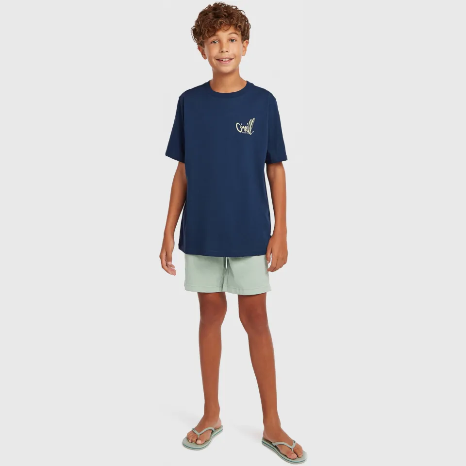 O'Neill T-shirt donkerblauw, foto 3