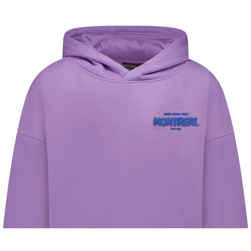 Cars hoodie met backprint paars, foto 5