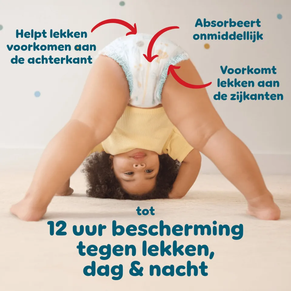 Pampers Baby Dry luierbroekjes maat 5 160 stuks, foto 7