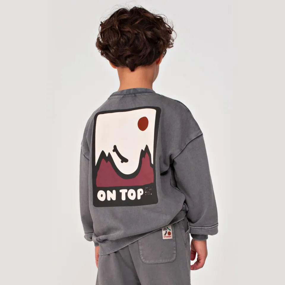 Sturdy oversized sweater Mountain top met backprint grijs/wit/oudroze, foto 8