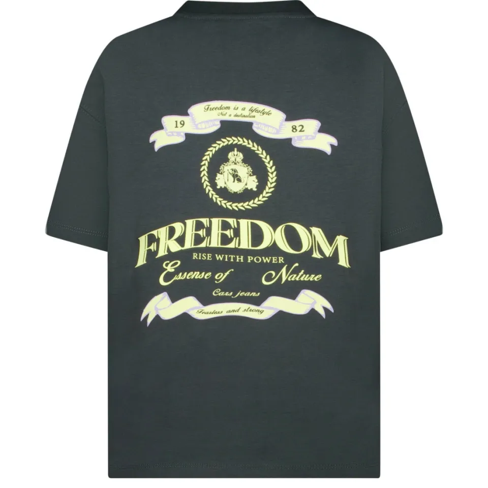 Cars T-shirt met backprint antraciet, foto 4