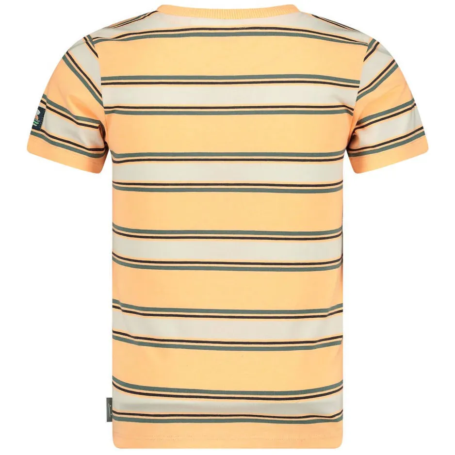 Sturdy Lagoon Legends gestreept t-shirt oranje, foto 3