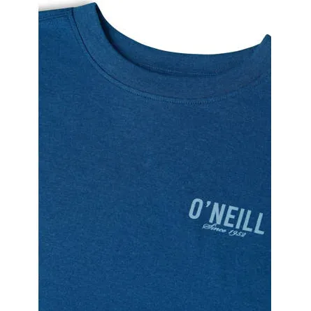 O'Neill T-shirt blauw, foto 6