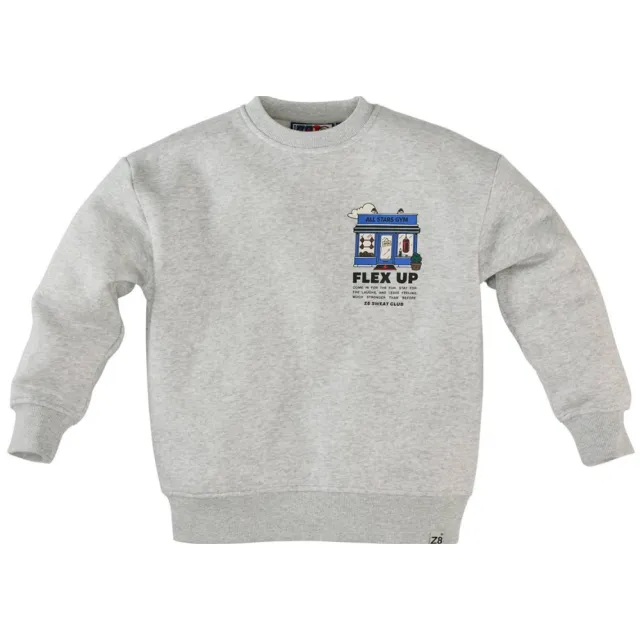 Z8 kids sweater Antony met backprint grijs