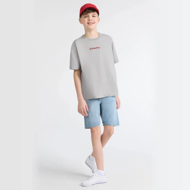 Levi's t-shirt grijs