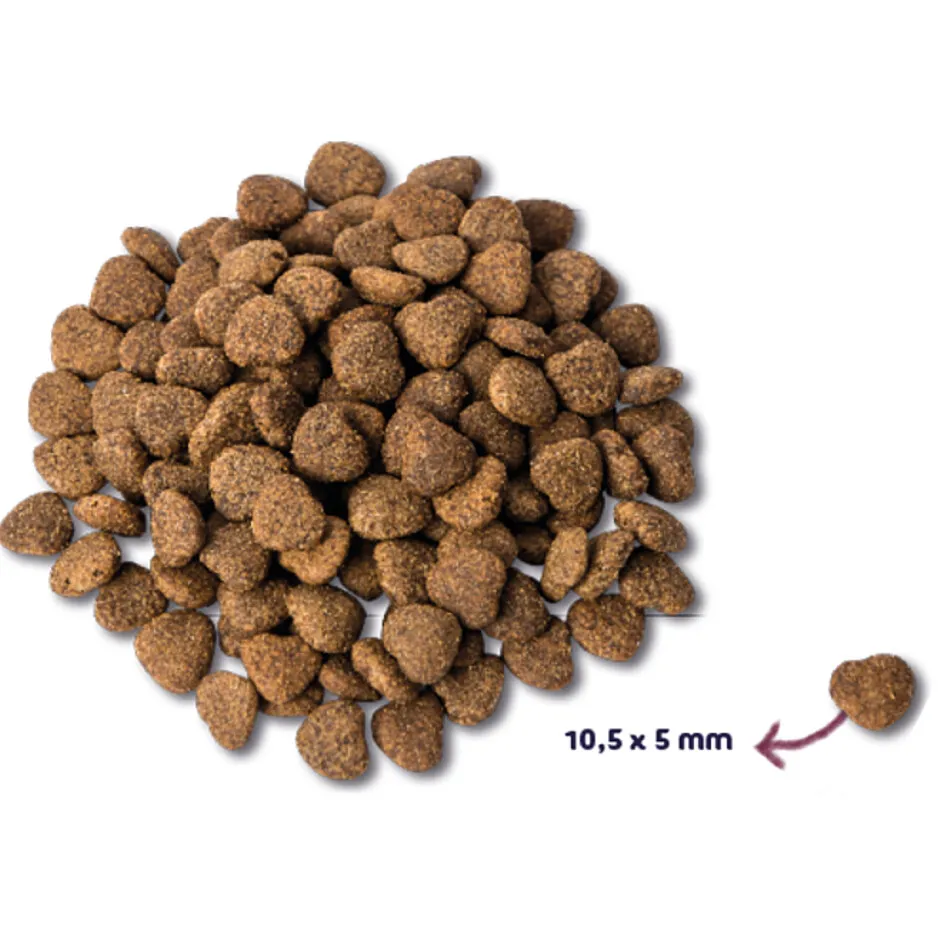 Renske Super Premium Senior kattenvoer kip & eend, foto 2