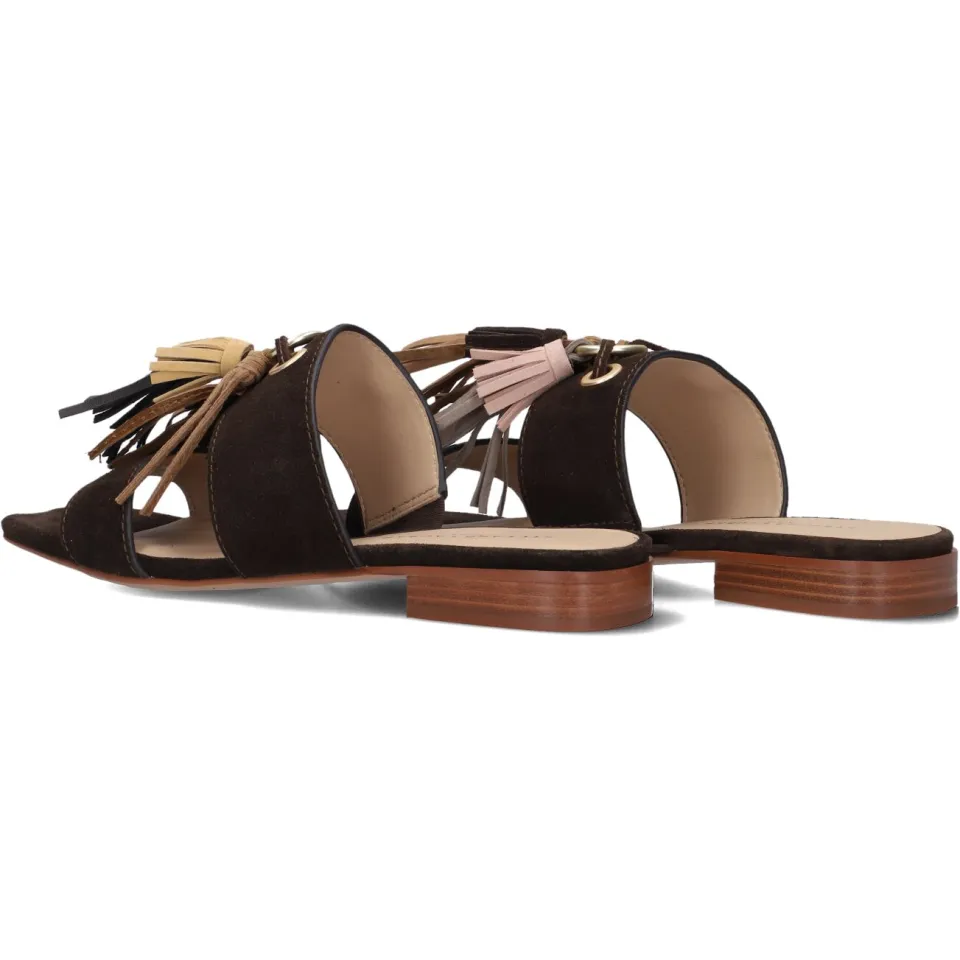 Stefano Lauran Hakken St2650 Bruin