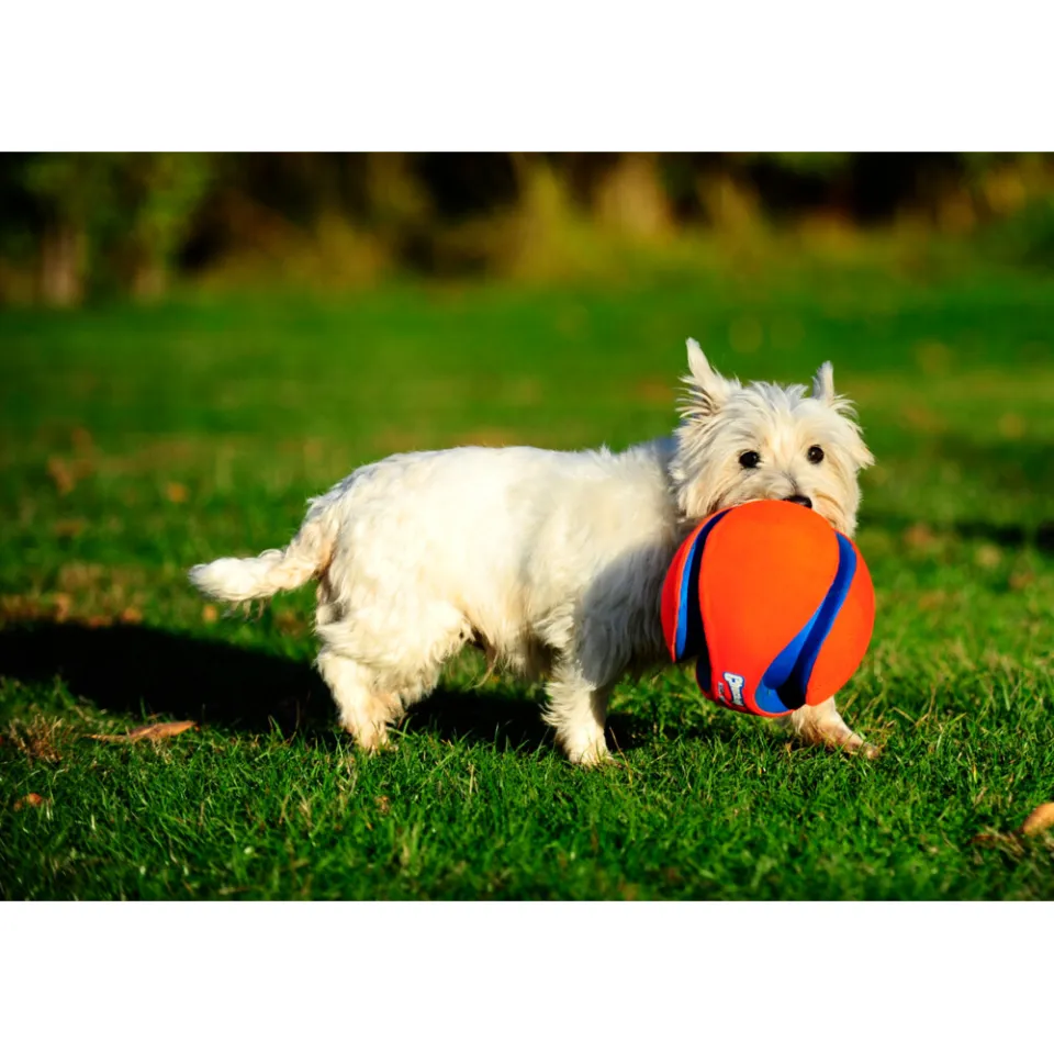 Chuckit hondenspeelgoed Kick Fetch S 12,5 cm oranje/blauw, foto 5