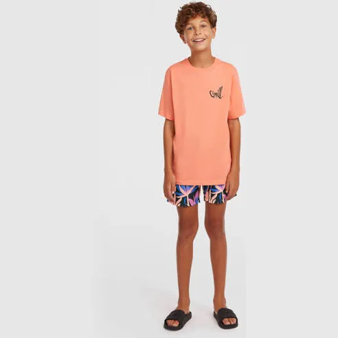 O'Neill T-shirt oranje, foto 3