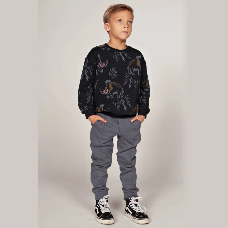 Sturdy Rock the Earth joggingbroek grijs, foto 4