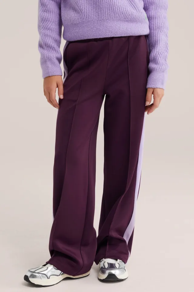 WE Fashion loose fit joggingbroek aubergine, foto 3