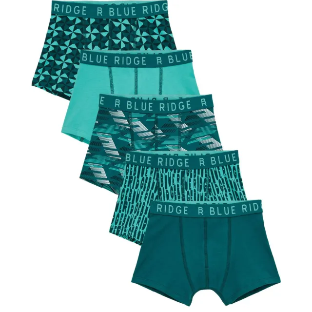 WE Fashion Blue Ridge boxershort petrol groen