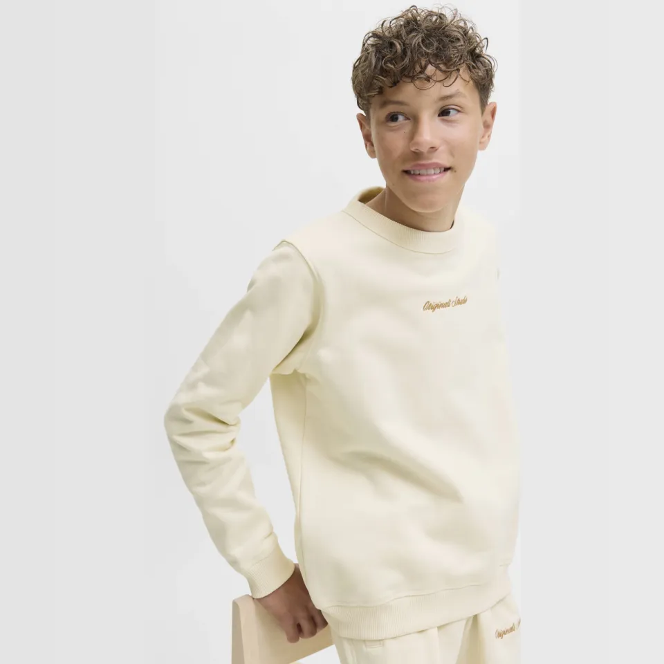 Jack & Jones JUNIOR sweater ecru, foto 5