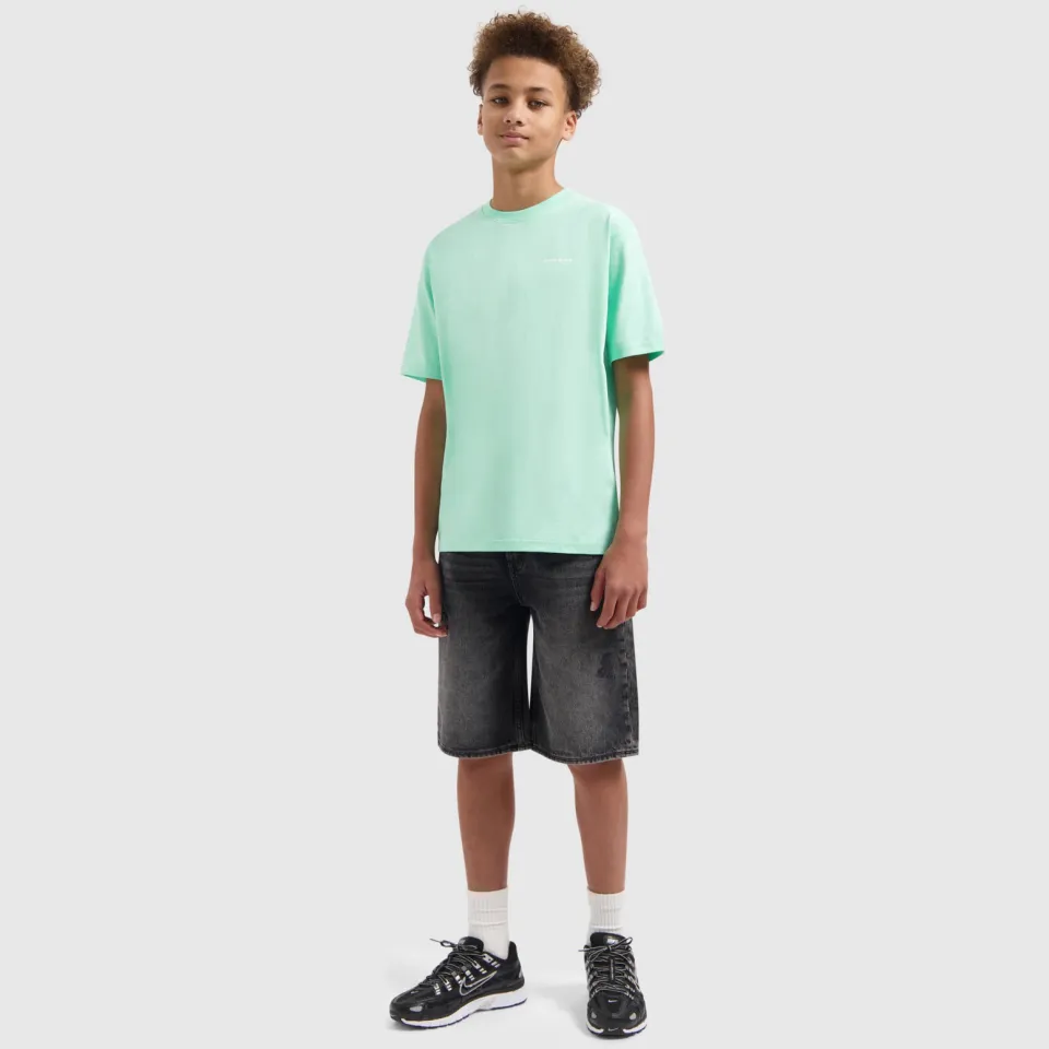 Ballin jeansshort grijs denim, foto 4